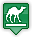 Kamele, Lama, Alpaka